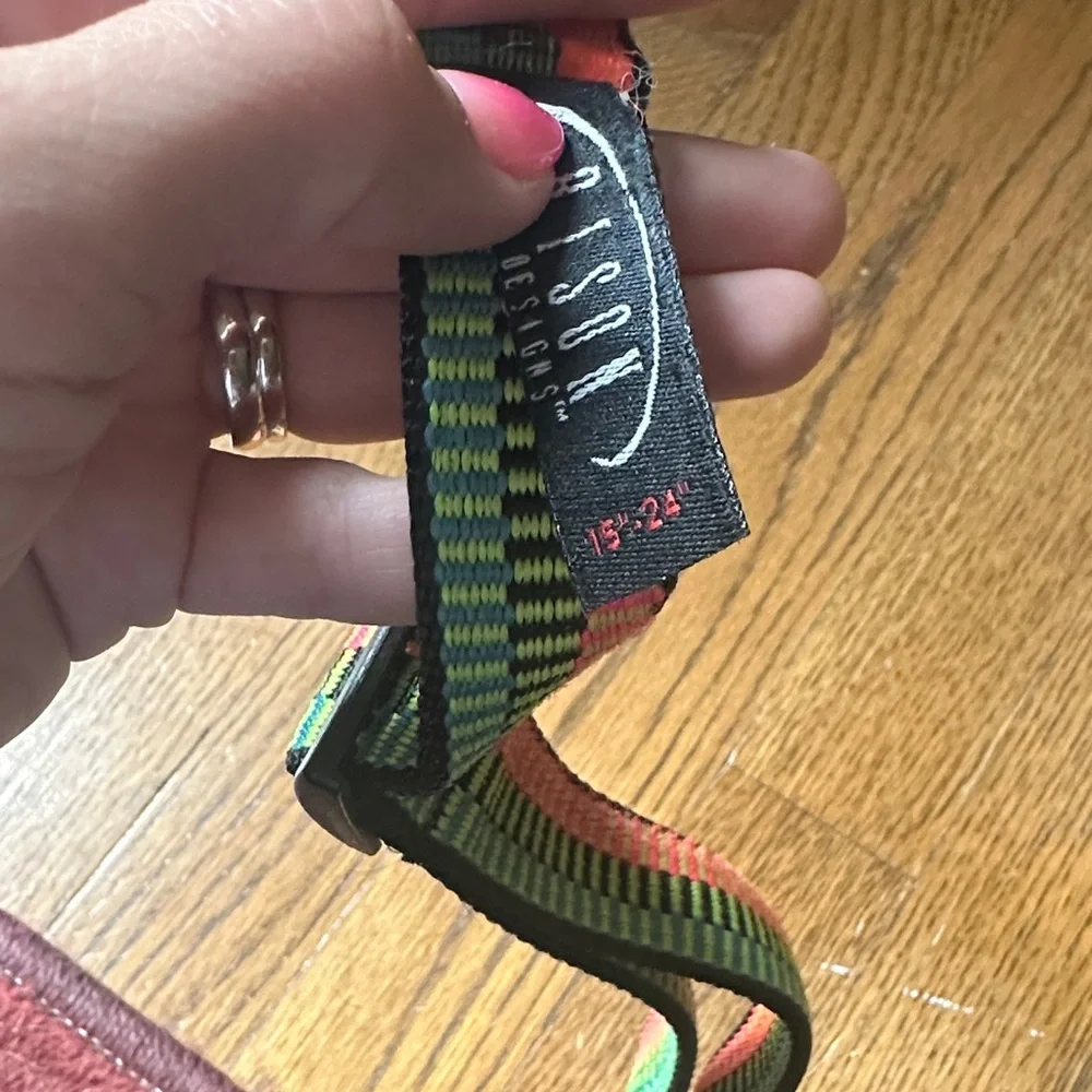 Colorful Neon Dog Collar! 15”-24”